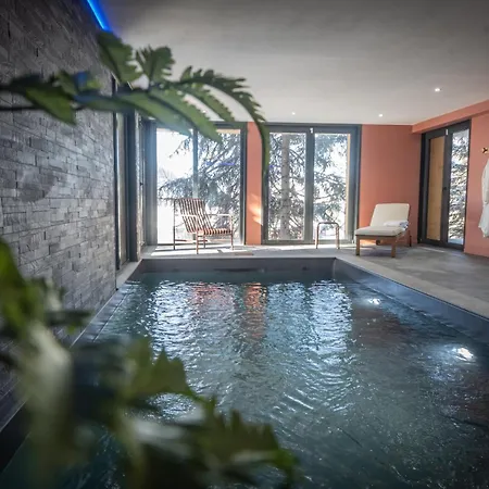 Du Bois Melay - Piscine - Proche Pistes - 15 Personnes 木屋 拉普拉涅